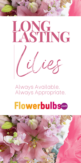 flowerbulbs.com