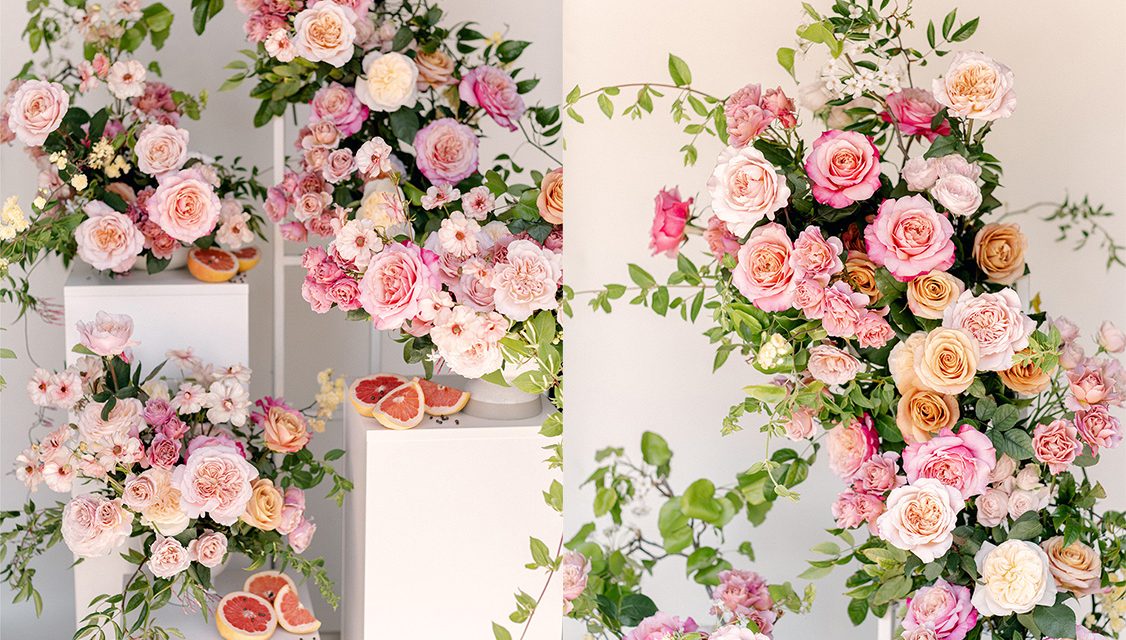 Summer Citrus Garden