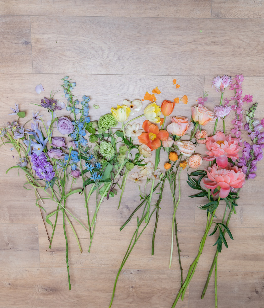 Pride for the Dried Flowers – WildFlora