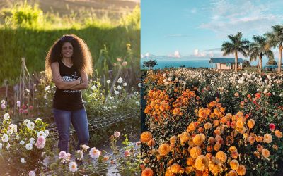 Meet the Woman Who Coaxes Dahlias to Grow in Hawaii