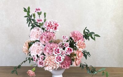 Top Budget-friendly Flowers