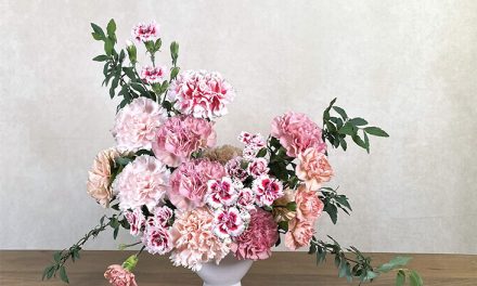 Top Budget-friendly Flowers