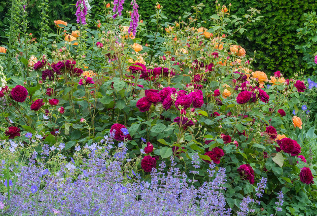 Flower Consumers Will Pay More for Sustainable Practices Florists' Review