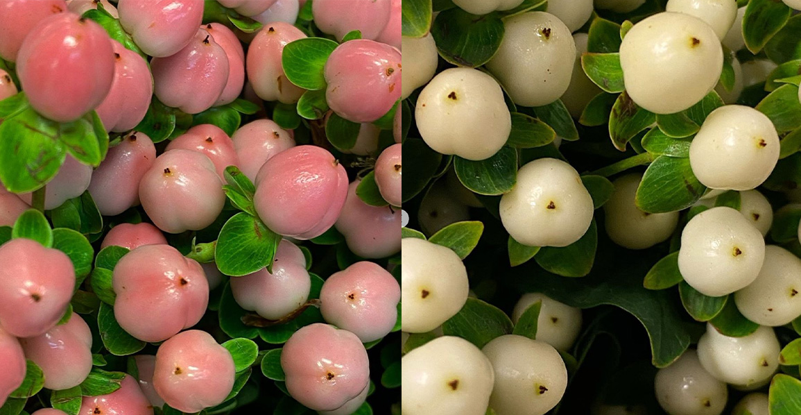 Top Budgetfriendly Flowers Florists' Review