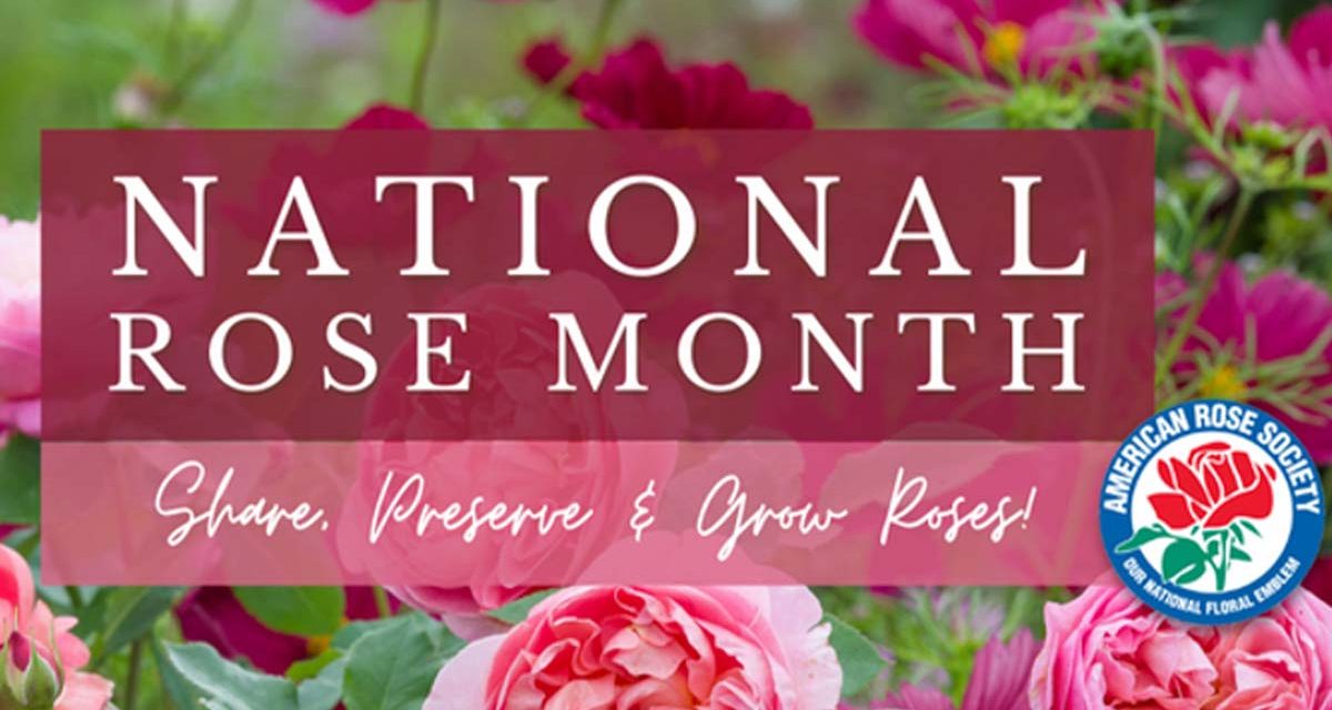 American Rose Society Celebrates Rose Month Florists' Review