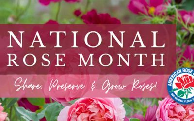 American Rose Society Celebrates  Rose Month