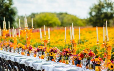 Harmony Harvest Farm Hosts Field to Vase Dinner