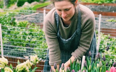 What Is a CSA, and How Can One Help Your Flower-growing Business?