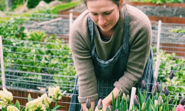 What Is a CSA, and How Can One Help Your Flower-growing Business?
