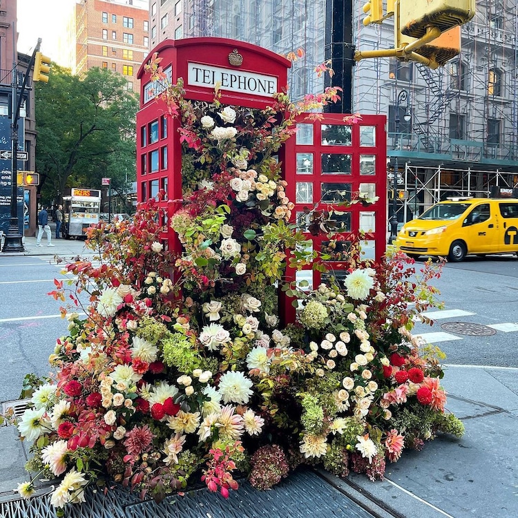 phone booth full of flowers