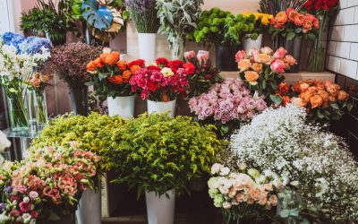 Learning To Say No to a Zillion Requests for Free Flowers