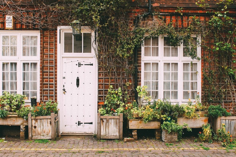 Can Houseplants Improve Our Health?