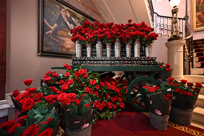 display of red roses