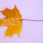 2023 Fall Trends in the Horticultural Industry
