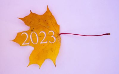 2023 Fall Trends in the Horticultural Industry