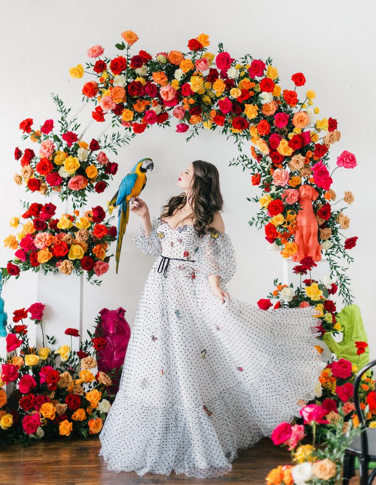 stunning archway made with garden roses with a bride holding a parrot