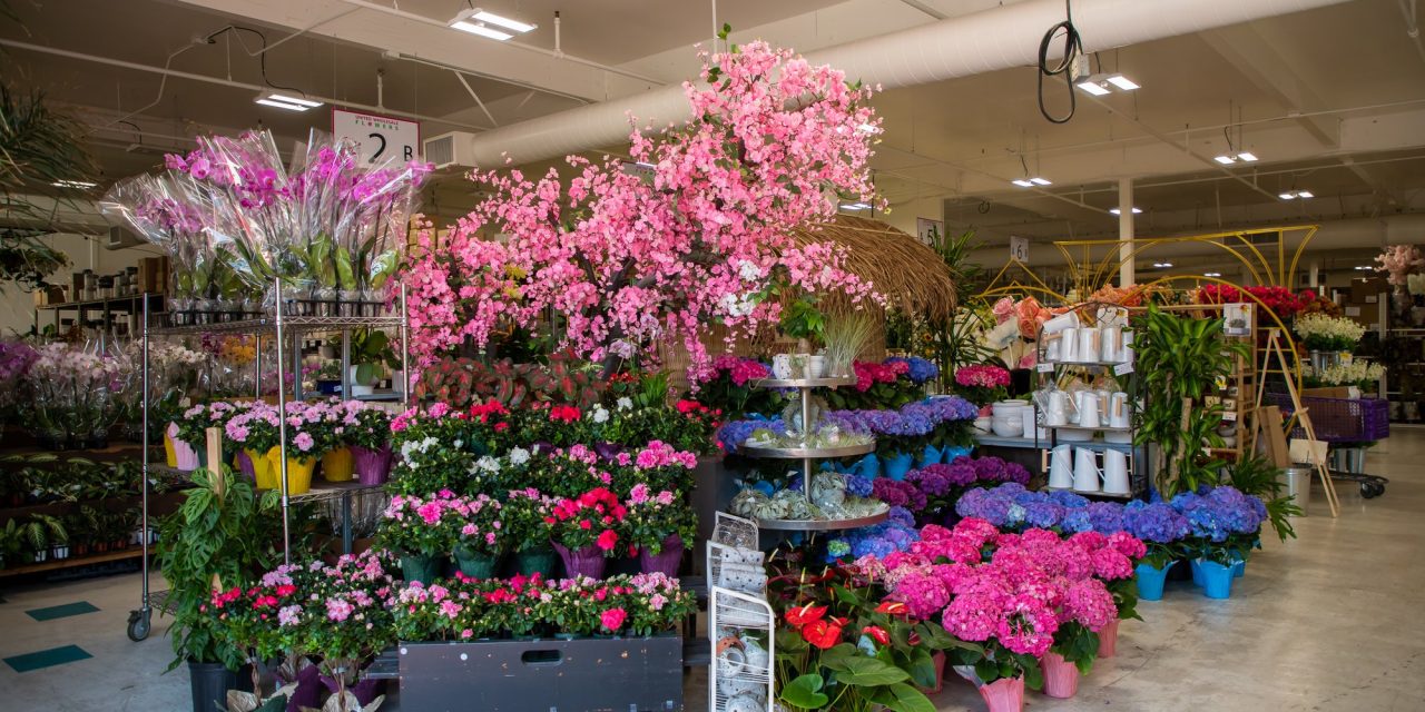Bay Area Floral Design Cup Comes to San Jose, California
