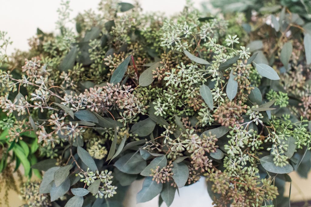 Florist Favourite: Top 5 Foliage to Dry – Bracken & Berry