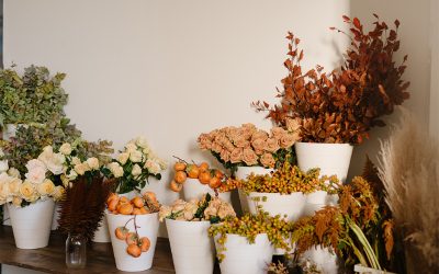 Fabulous Foliages (and More) for Fall