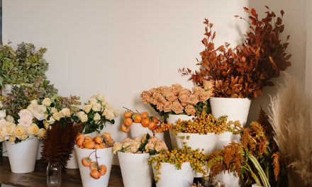 Fabulous Foliages (and More) for Fall