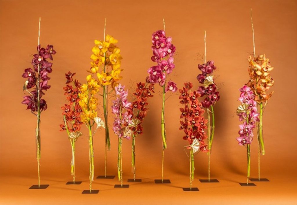 modern tree display made form orchids