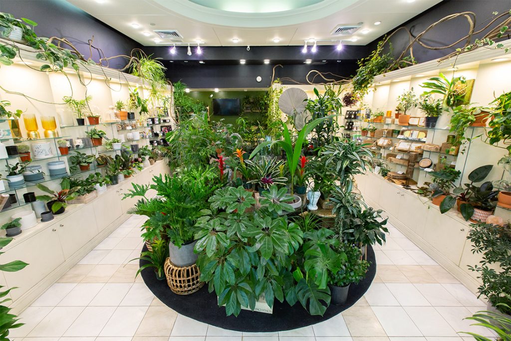 plant store display