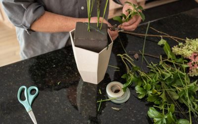 New OASIS Forage Product Line Empowers Gardeners