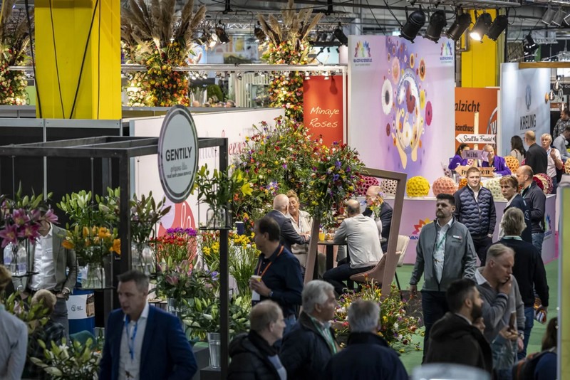 Trade Fair Aalsmeer and IFTF are Happening This Week