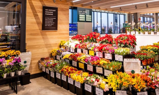 Whole Foods Market Unveils New Pollinator Policy for Produce & Floral