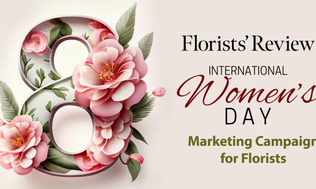 Free International Women’s Day Marketing Plan