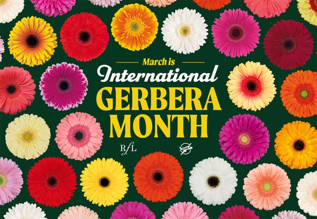 march is international Gerbera month