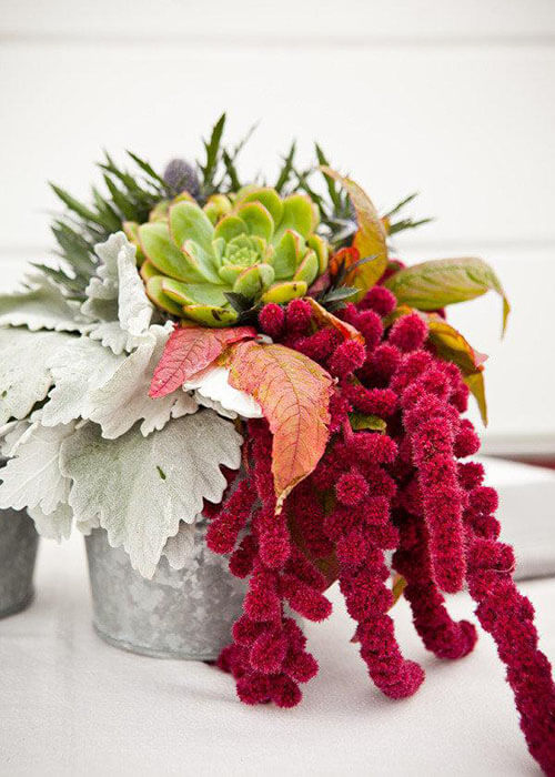 WITH SUCCULENTS  against velvety Dusty Miller and prickly thistle. (via Style Me Pretty)
