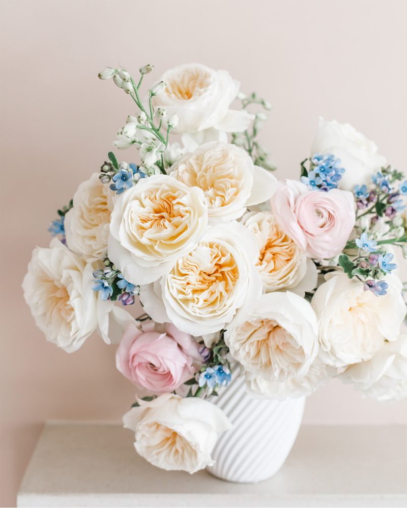 Bessie garden roses