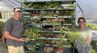 Grow 'N Sell