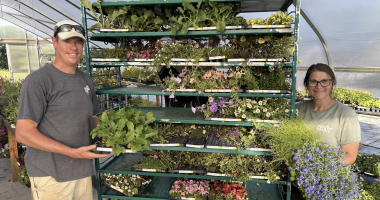 Grow 'N Sell