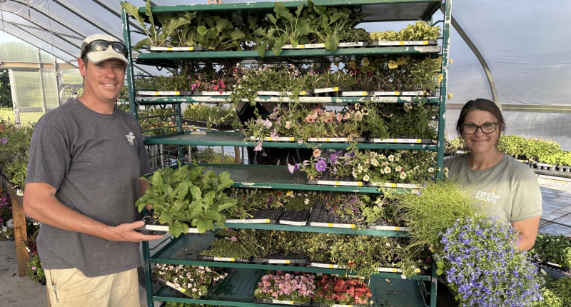 Grow 'N Sell